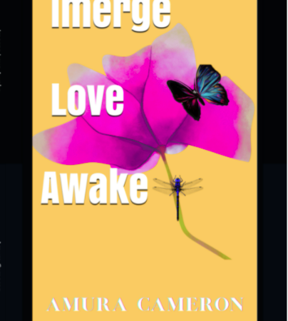 The Book - Imerge Love Awake